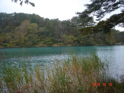 DSC07764_400.jpg